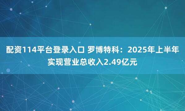 配资114平台登录入口 罗博特科：2025年上半年实现营业总收入2.49亿元
