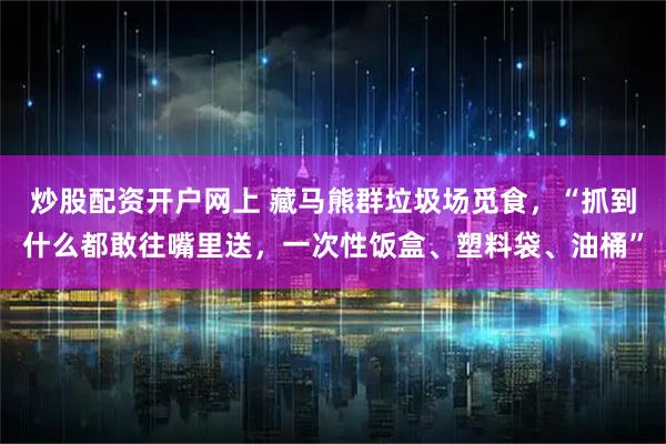 炒股配资开户网上 藏马熊群垃圾场觅食，“抓到什么都敢往嘴里送，一次性饭盒、塑料袋、油桶”